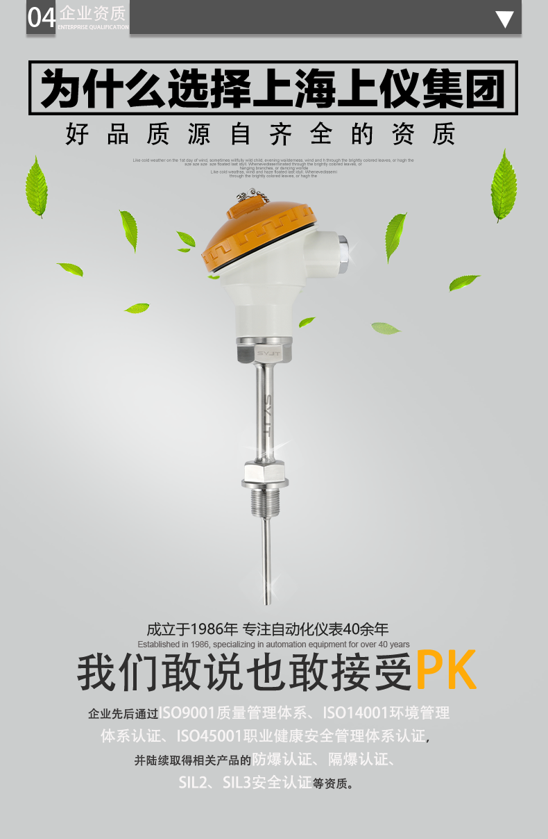 WRNK-铠装热电偶_08.png